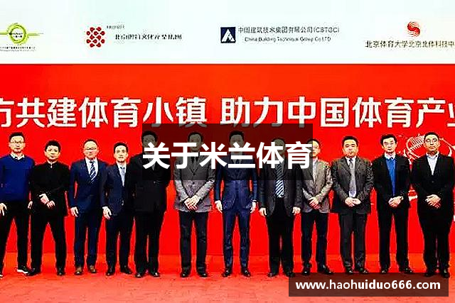 关于米兰体育